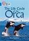Life Cycle of the Orca, The: Band 16/Sapphire